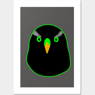 Black Goshawk with green eyes Posters and Art